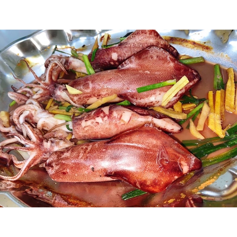 [HỎA TỐC SG] Mực ống tươi lớn Phan Thiết Vũng Tàu hấp gừng nướng nấu lẩu siêu ngon - 1kg