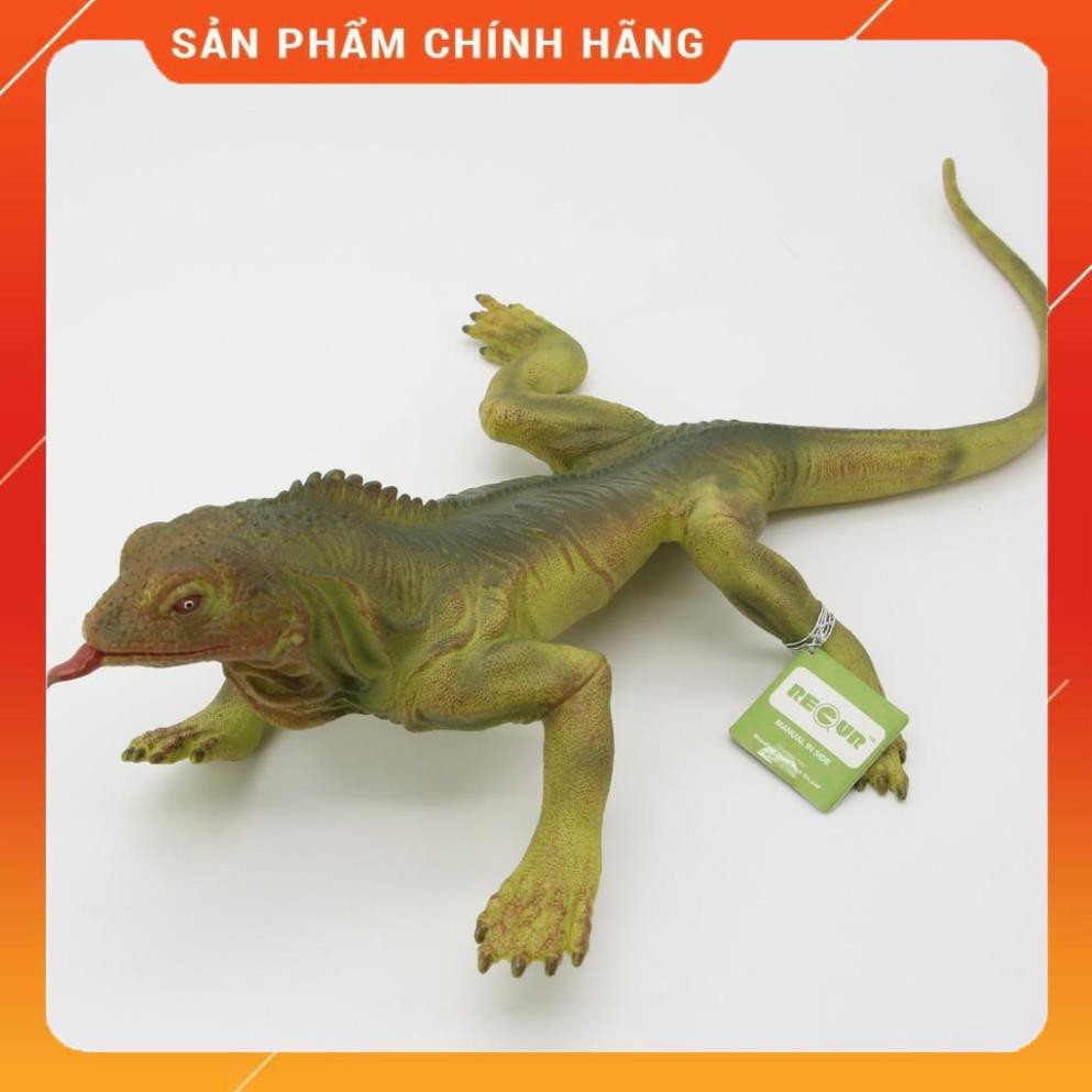 Chính hãng  Đồ chơi mô hình động vật cho bé Recur DW330 - hình thằn lằn Iguana - TOYS HOUSE [Freship 10k]