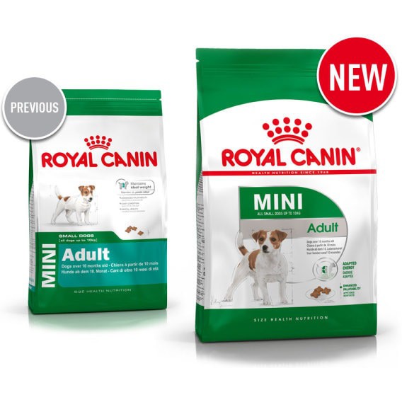 800g Hạt Royal Canin Mini Adult cho các dòng chó size nhỏ trên 10 tháng tuổi
