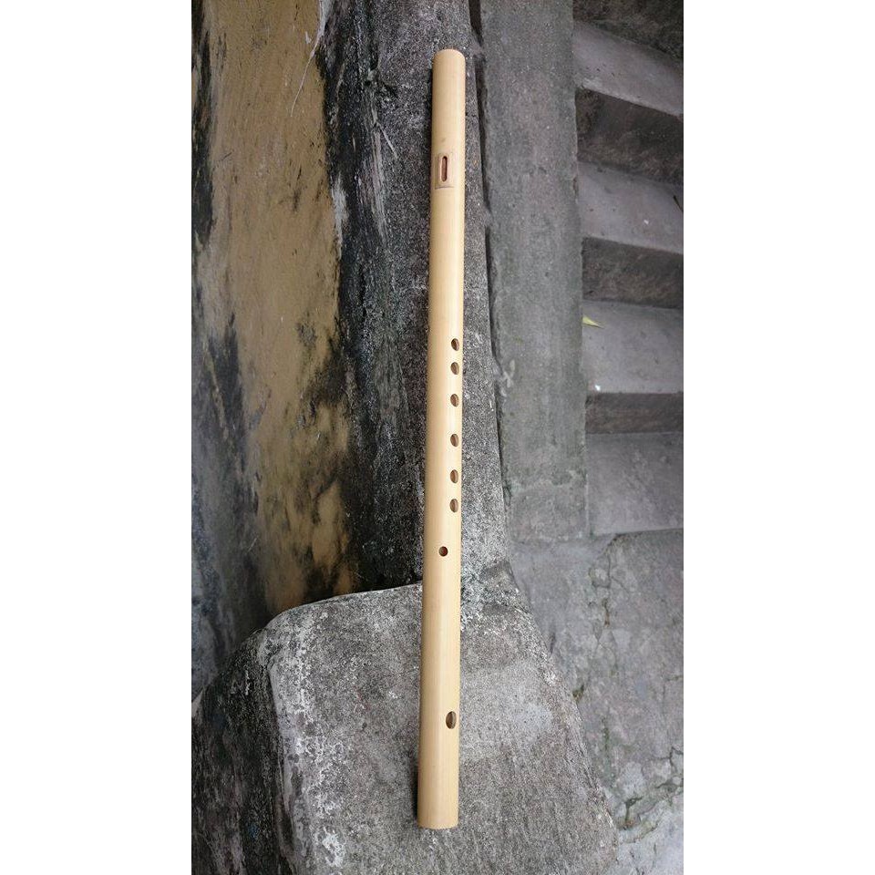 Sáo mèo Việt