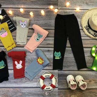 Combo Quần legging - e tâm