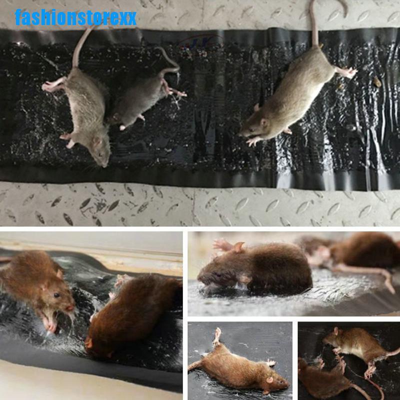 Keo Dính Chuột 60CM Mạnh Mẽ Tiện Dụng