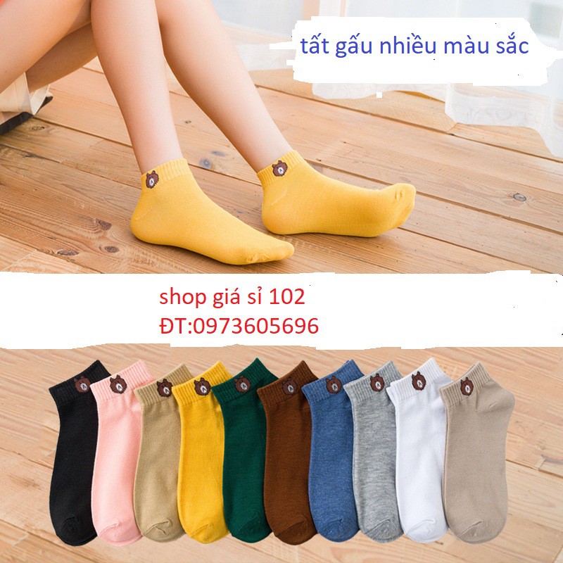set 10 Đôi Tất Gấu Cổ Ngắn Cho Nữ - Vớ Gấu Nhiều Màu