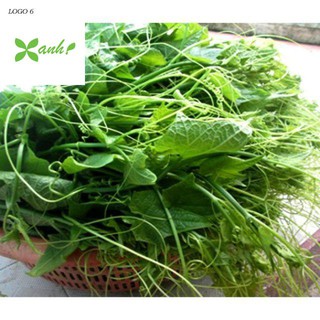Hạt giống Bí Siêu Ngọn 10gram