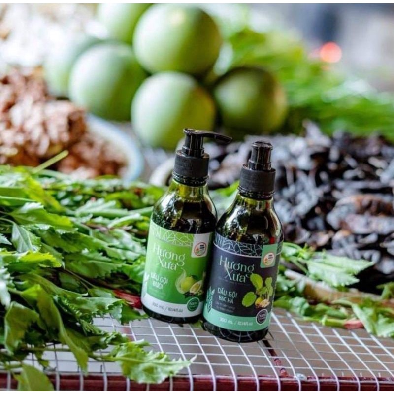 Dầu gội thảo mộc Hương xưa