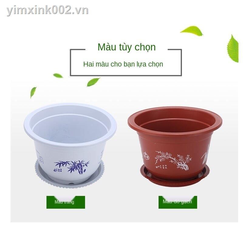 №chậu hoa đẹp，  ban công， chau hoa， treo tường， giả mini， gỗ， trang trí， hồng， kệ để bàn， sứ，