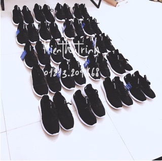 Giày aididas tubular