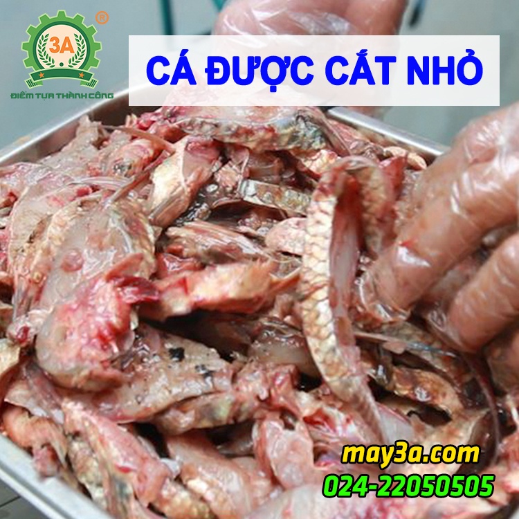Máy cắt cá 3A2,2Kw, Máy thái cá tươi, cá mồi nuôi thủy sản, chăn nuôi gà vịt...