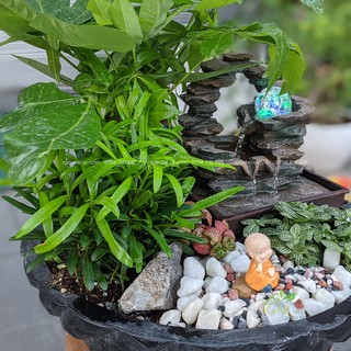 Thác nước tiểu cảnh – Phong Thuỷ Luân
