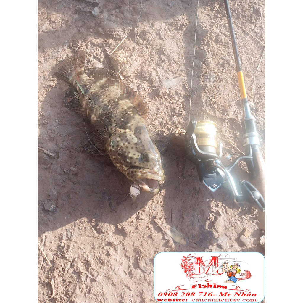Chuppy Mồi Lure Cá Chẽm Tráp Lóc  R39 Rất Hiệu Quả