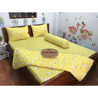 Drap ga Thắng lợi