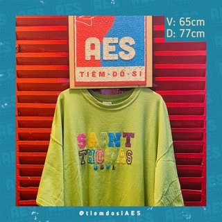 Áo thun Mỹ oversize vintage secondhand/2hand nhiều màu - tiemdosiAES