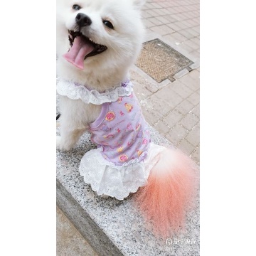 Váy thun hai dây phối bèo CAMQUYTSTORE in họa tiết gấu ngọt ngào dễ thương cho thú cưng