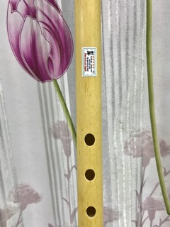 Sáo trúc tone Bb (free ship)
