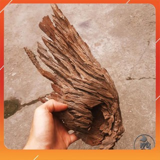 1kg Lũa Săn Đá Chuyên dùng cho bể cá Thủy Sinh - Vân Lũa Cực Đẹp, Set bể Cực Đã