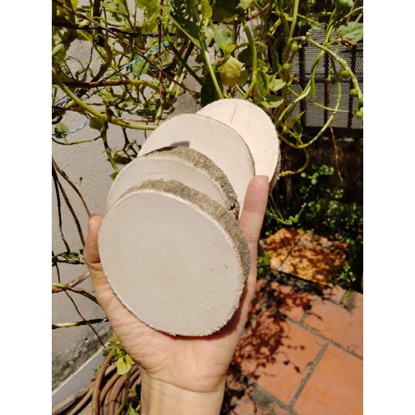 Set 20 lát gỗ trơn đk 6-8cm giá 65k