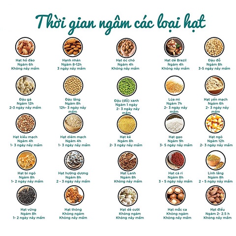 9 loại hạt hữu cơ cho bé ăn dặm