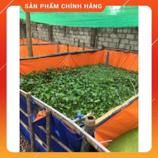 🐠 bể bạt nuôi cá , ốc , ếch , ba ba , tôm , 🐠