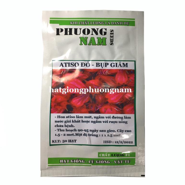 50H - hạt giống atiso đỏ ( bụt giấm )