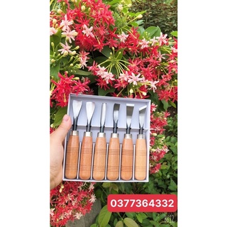 Bộ Đục Bonsai cây cảnh cao cấp