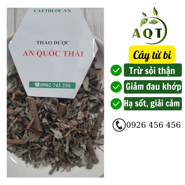 Cây Từ Bi (Cúc Tần, Đài Bi) 1kg Khô Đẹp, Từ Bi Trừ Sỏi Thận, Hạ Sốt Nhanh, Đóng Gói Sạch Sẽ | Thảo dược An Quốc Thái