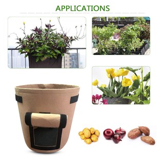 GROW GREEN BAG Chậu trồng cây, khoai củ vì môi trường 30x35cm (Bộ 2 chậu) - Home and Garden