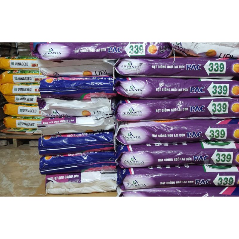 Hạt giống ngô lai đơn 339