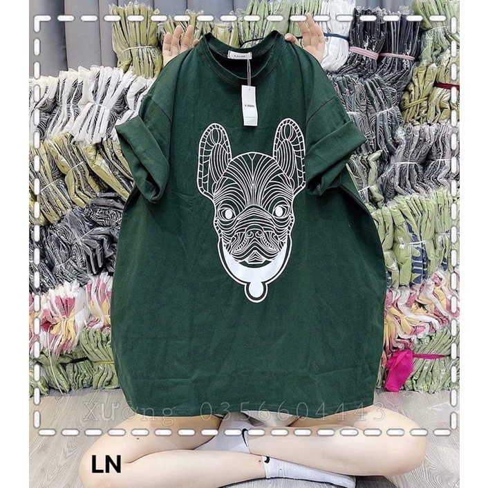 Áo phông chó lưới vòng cổ LN11