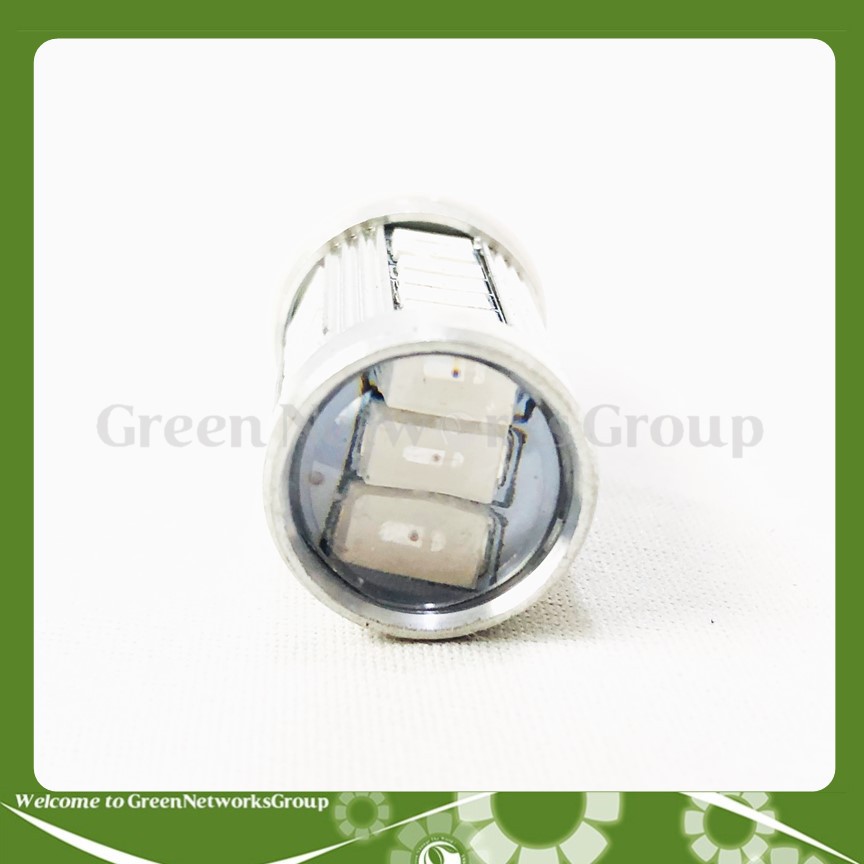 Bóng lùi LED T20 33 Tim 2 chế độ gắn đuôi xe ô tô Greennetworks ( Ánh sáng ngẫu nhiên )