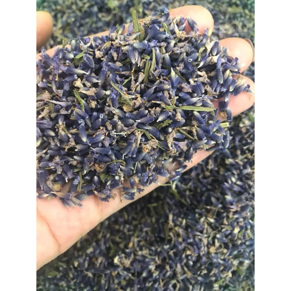 Túi thơm nụ Lavender (hoa oải hương) Pháp túi 18 &amp; 25g