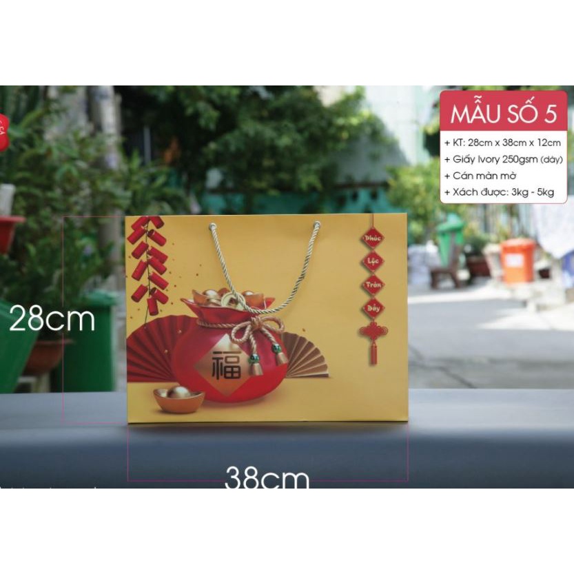 Túi đựng quà Tết 28x38x12 cm (mẫu số 5)