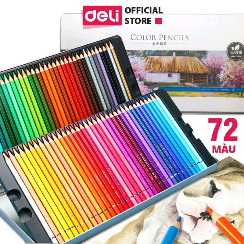 Bút chì màu gốc dầu cao cấp DeLi hộp thiếc.