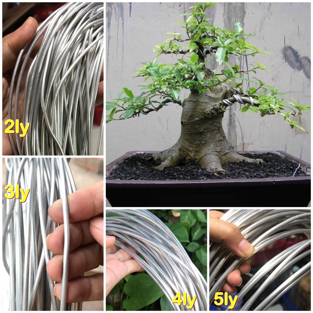 Dây nhôm trần quấn cây cảnh chuyên dùng uốn cây bonsai, cây cảnh 2ly - 3ly - 4ly - 5ly