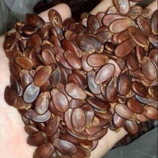 Hạt dưa hạt bí Hùng Ký