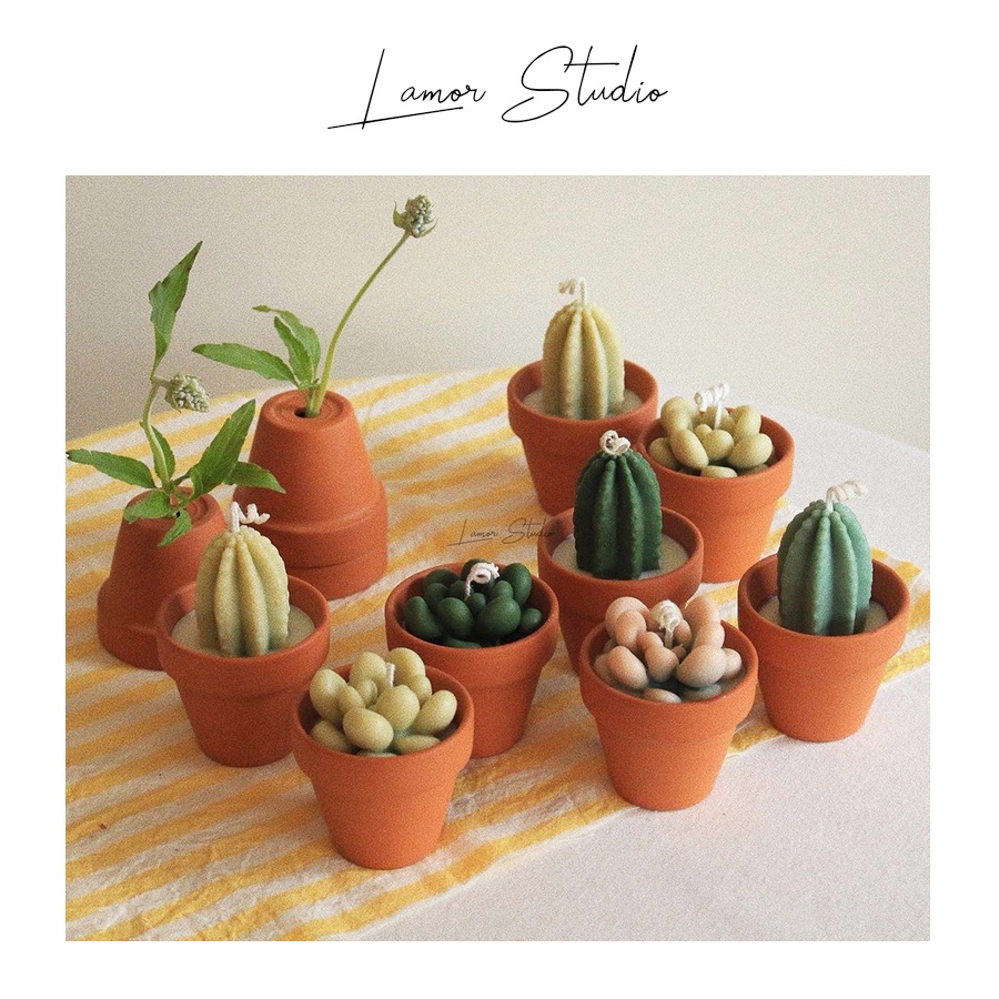 Combo tự làm nến thơm Cactus Candle sáp tự nhiên giảm căng thẳng