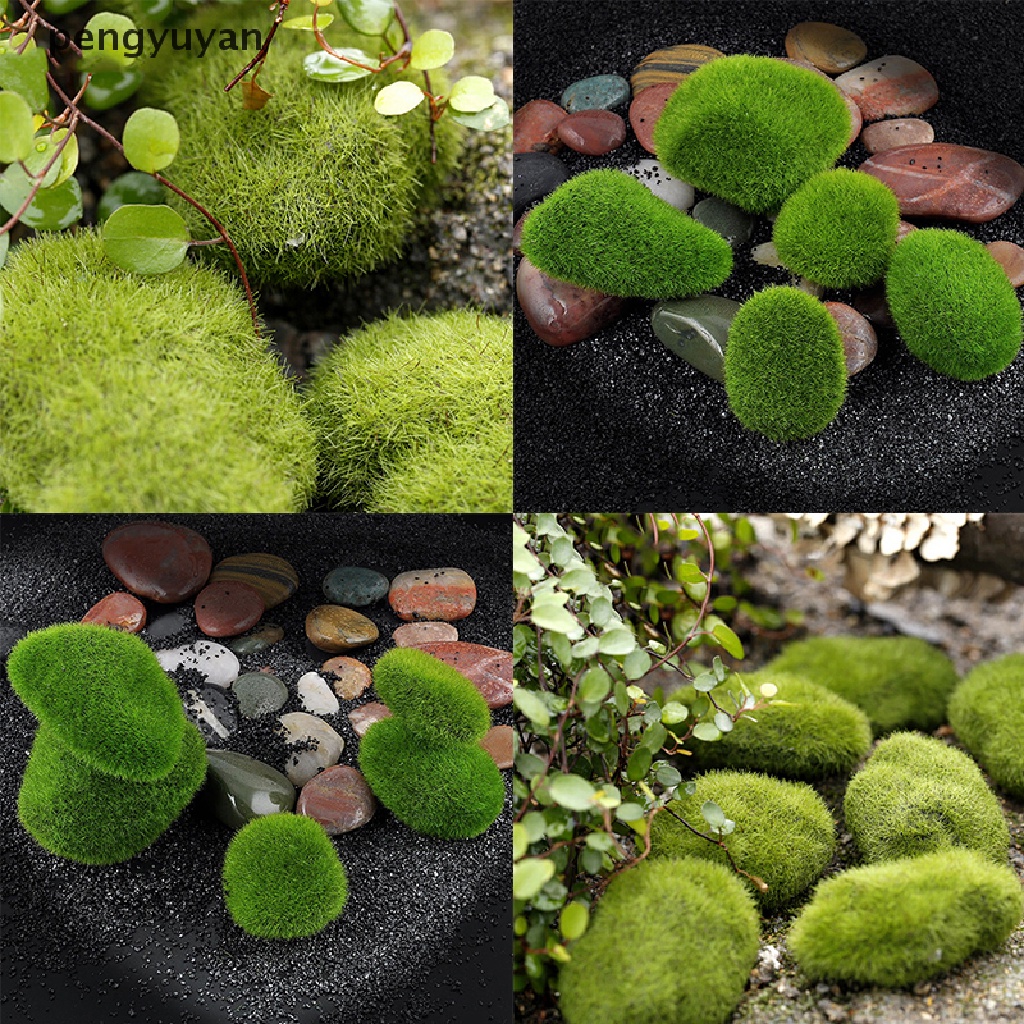 [pengyuyan] Đá Cỏ Marimo Mini Trang Trí Vườn Thần Tiên Terrarium [Mới]