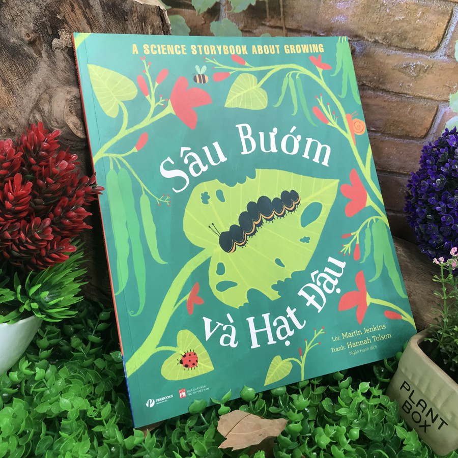 Sách - Câu chuyện khoa học: Sâu bướm và hạt đậu - A science storybook sbout growing