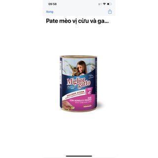 pate ý morando miglior gatto cho mèo