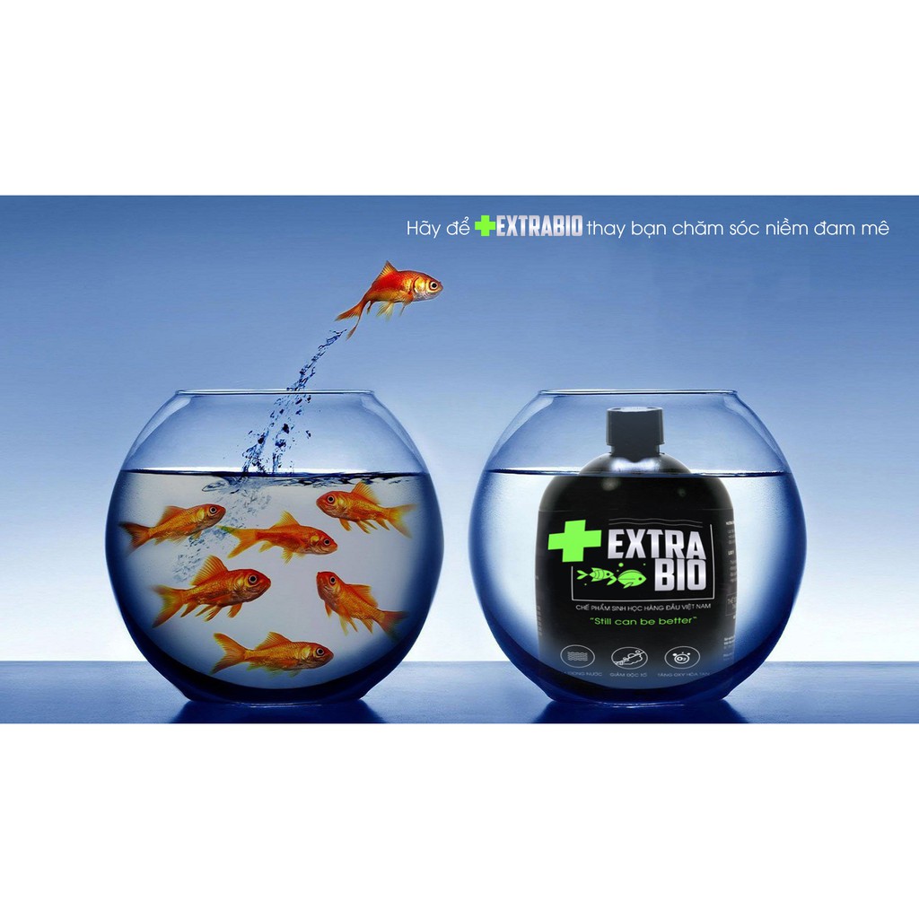 Men vi sinh cao cấp extrabio làm sạch nước
