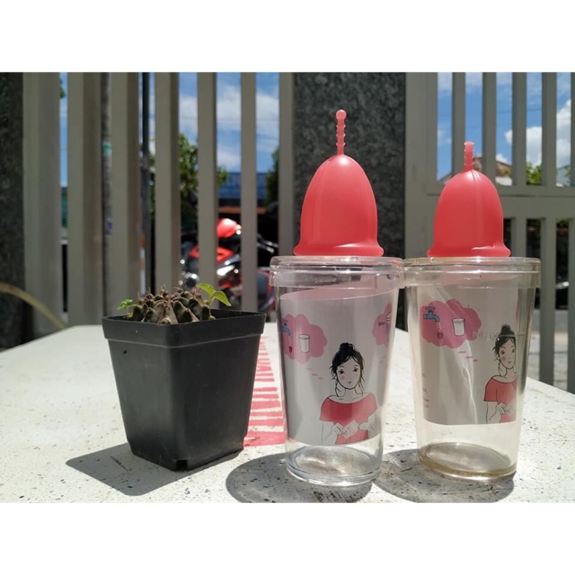 Cốc Kinh Nguyệt SiBell