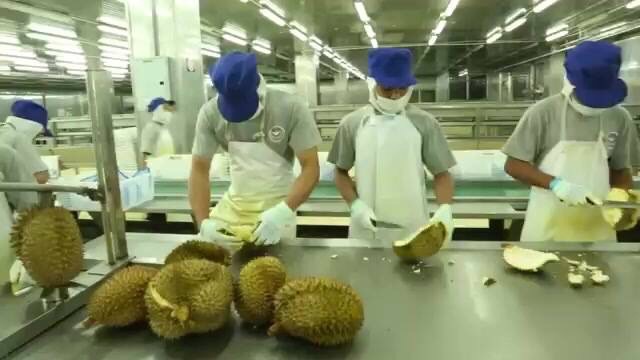 Sầu riêng sấy thái lan Queen Durian