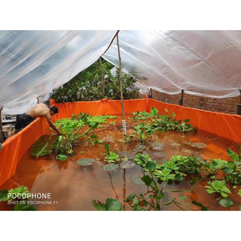 Bể bạt nuôi ốc , ếch , cá , lươn - loại 1 ( 8x3x1 )