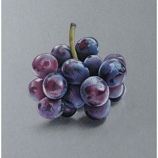 - Bút chì màu PRISMACOLOR Premier Soft Core - Tone Tím