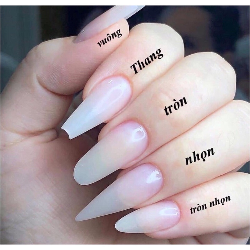 nails box móng úp thiết kế màu xanh và thạch nhũ gắn nơ