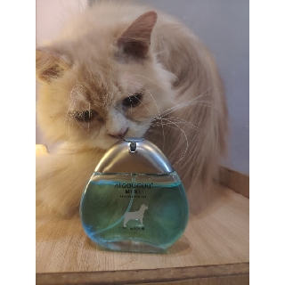 Nước Hoa mini Perfume dành cho thú cưng - Petcare