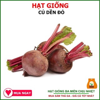 Hạt Giống Củ Dền Đỏ 5Gram