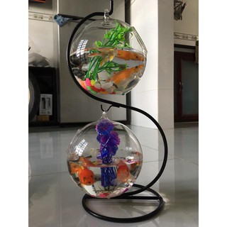 Hồ  cá mini đôi chữ S cỡ to 36 ( Tặng kèm combo phụ kiện trang trí )