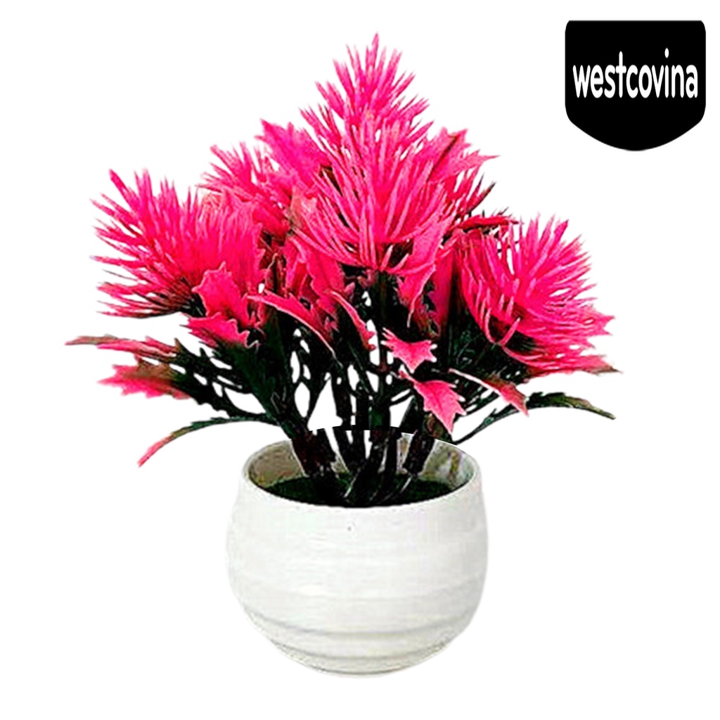 [Hot]☀ Chậu Cây Bonsai Bằng Nhựa Không Phai Màu Dùng Trang Trí