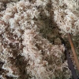 Ruốc lợn sạch chợ Đồn