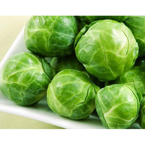 Gói 0.5GR hạt giống Bắp Cải Tí Hon